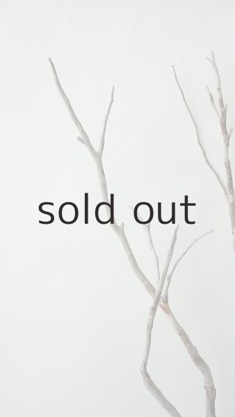 画像4: 枝流木 (4)