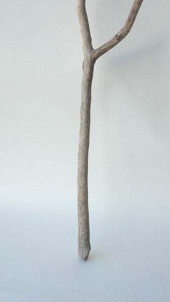 画像2: 枝流木セット（outlet） (2)