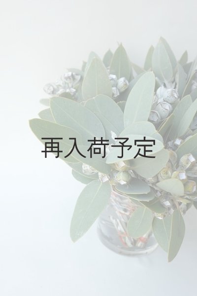 画像2: Dry plants for decor 乾燥ユーカリ・テトラゴナシルバー（実付き）Ｍサイズ (2)