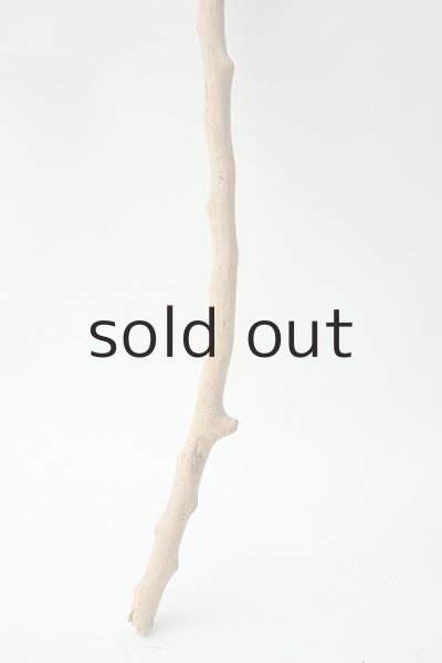 画像2: 小枝流木 (2)