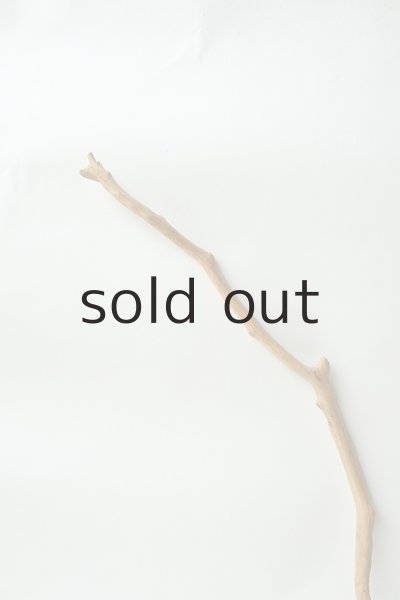 画像4: 小枝流木 (4)