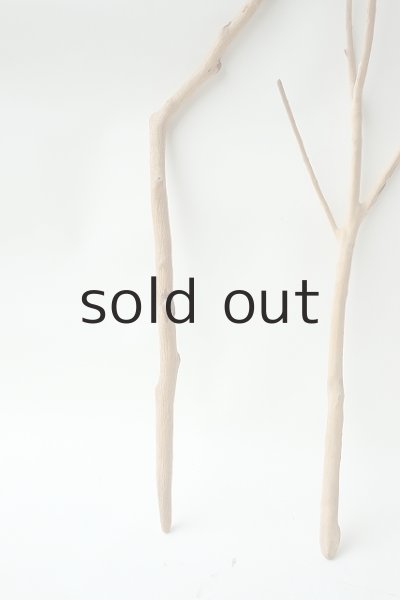 画像5: 小枝流木セット (5)