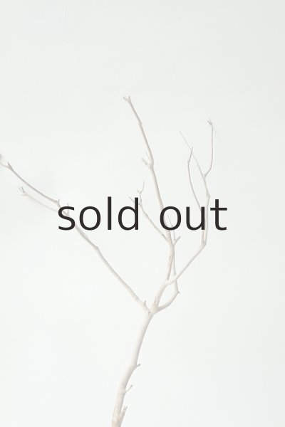 画像5: 小枝流木セット (5)