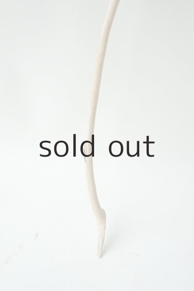 画像2: 小枝流木 (2)