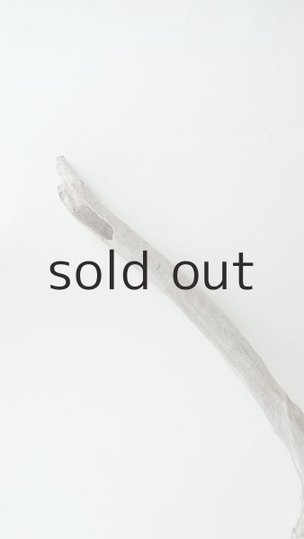 画像4: 変形流木 (4)