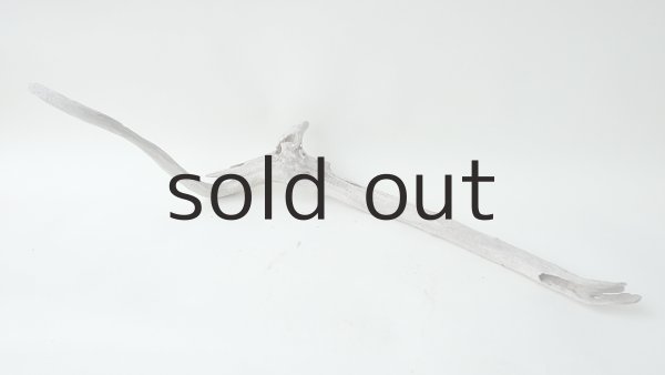 画像6: 変形流木 (6)