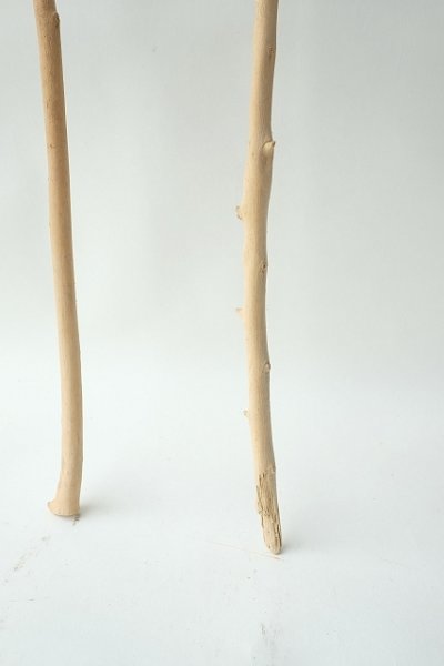 画像2: 小枝流木セット (2)