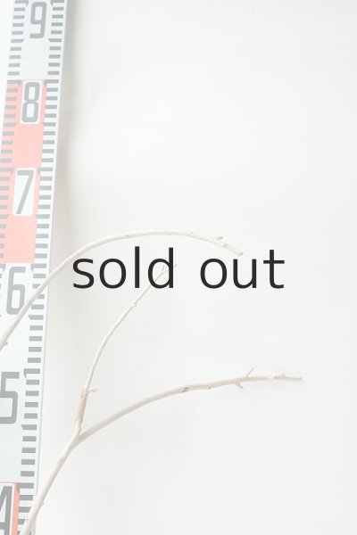 画像4: 小枝流木 (4)