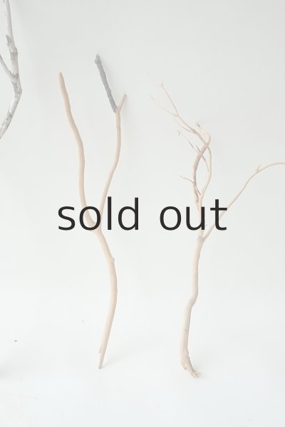 画像4: 小枝流木セット (4)