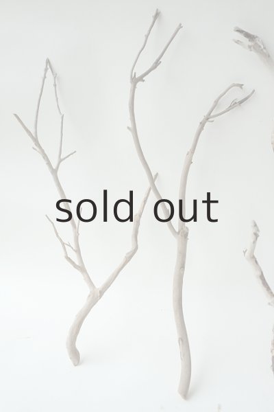 画像2: 小枝流木セット (2)