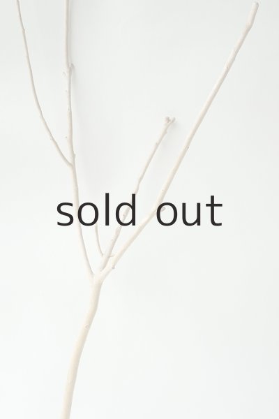 画像3: 小枝流木 (3)