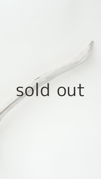 画像5: 変形流木 (5)