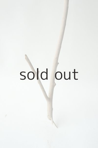 画像2: 小枝流木 (2)