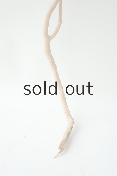 画像2: 小枝流木 (2)