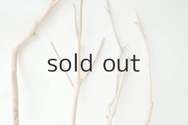 画像3: 小枝流木セット (3)