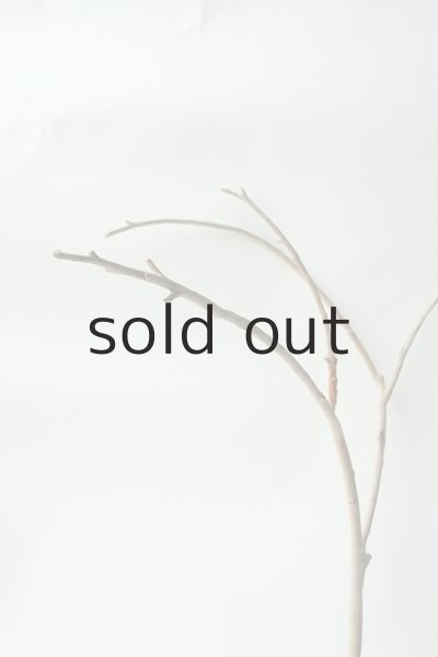 画像3: 小枝流木 (3)