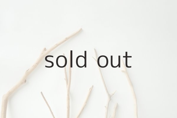 画像4: 小枝流木セット (4)