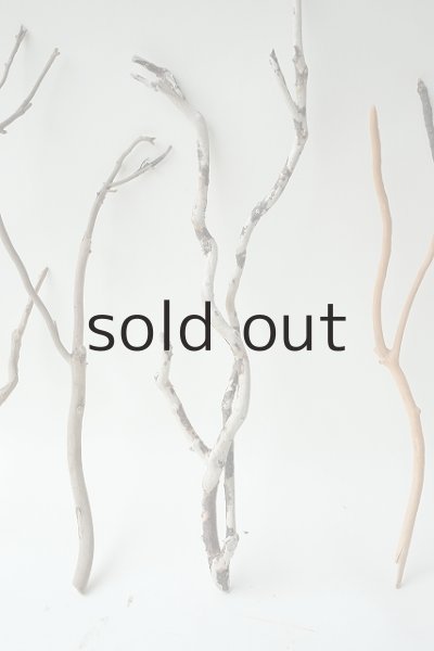 画像3: 小枝流木セット (3)