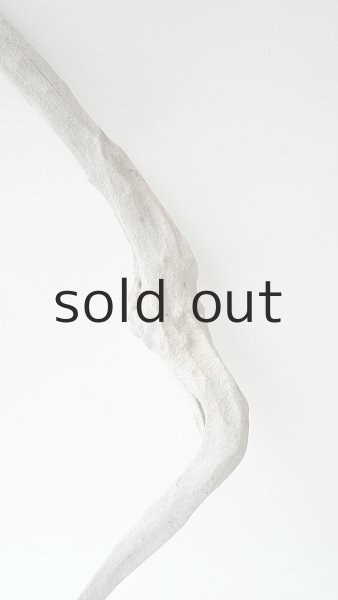 画像3: 変形流木 (3)