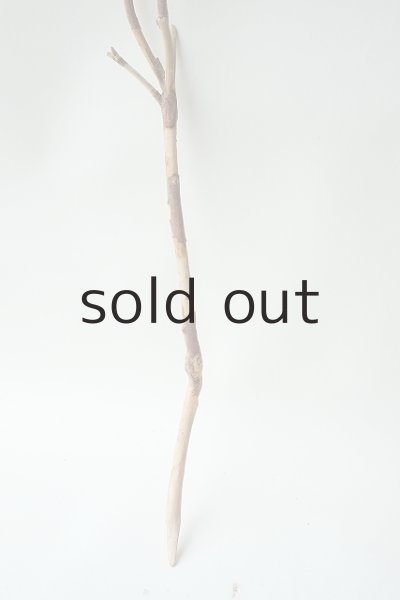 画像2: 小枝流木セット (2)