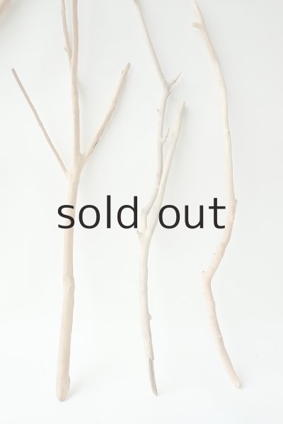 画像6: 小枝流木セット (6)