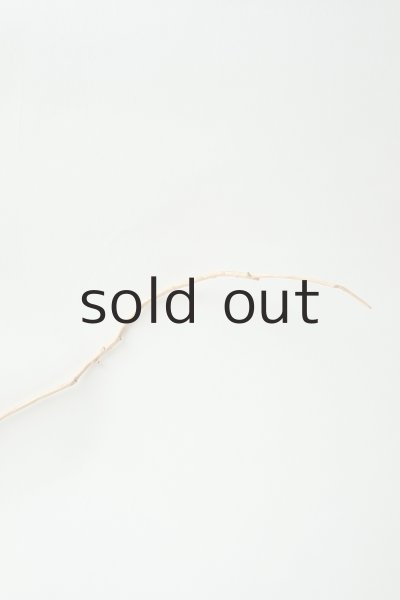 画像4: 小枝流木 (4)