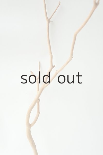 画像3: 小枝流木 (3)