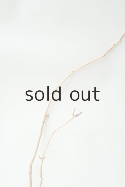 画像3: 小枝流木 (3)