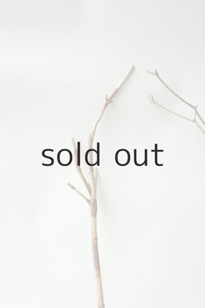 画像3: 小枝流木セット (3)