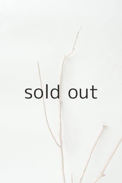 画像4: 小枝流木 (4)