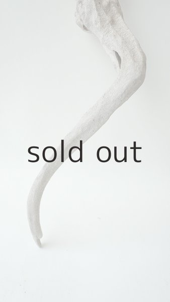 画像2: 変形流木 (2)