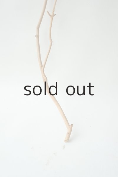 画像2: 小枝流木 (2)