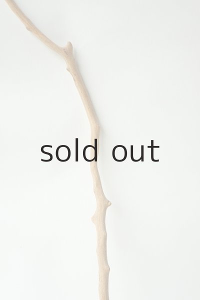 画像3: 小枝流木 (3)