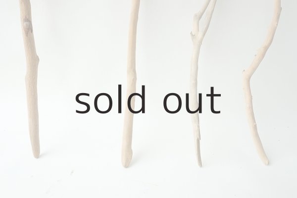 画像2: 小枝流木セット (2)