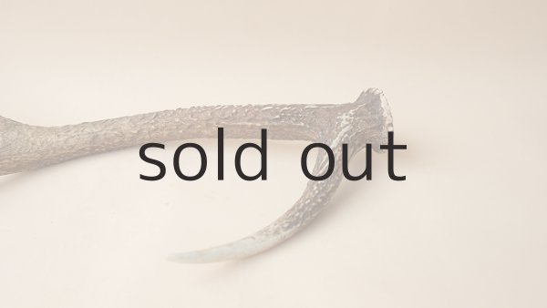 画像3: デコール用二ホンジカの角 (3)