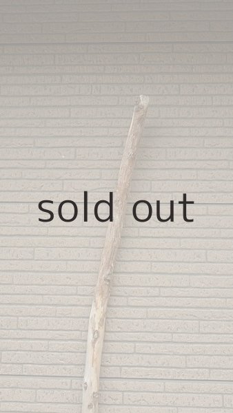 画像4: 棒流木・長尺 (4)