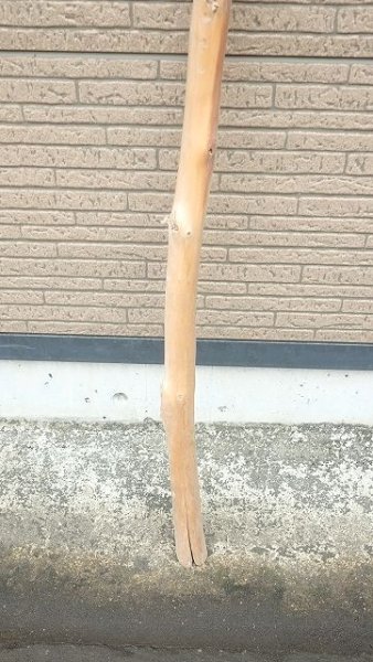 画像2: 棒流木・長尺 (2)