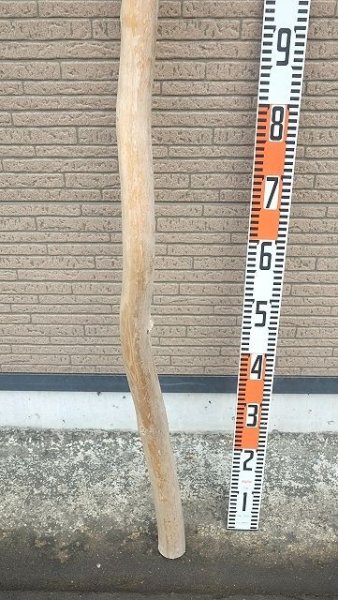 画像5: 棒流木・長尺 (5)