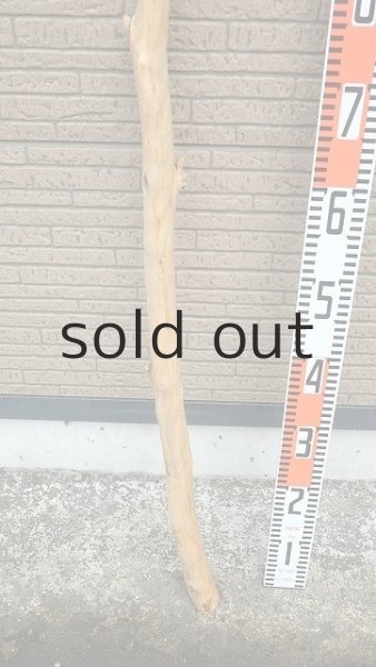 画像5: 棒流木・長尺 (5)