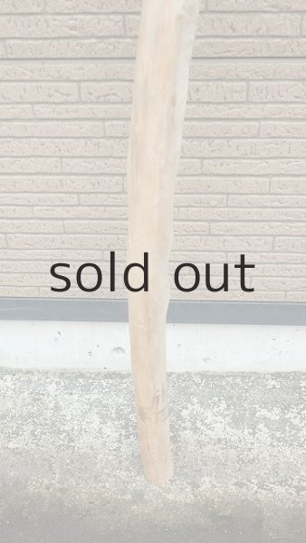 画像2: 棒流木・長尺 (2)