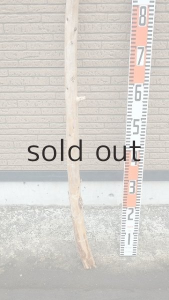 画像5: 棒流木・長尺 (5)