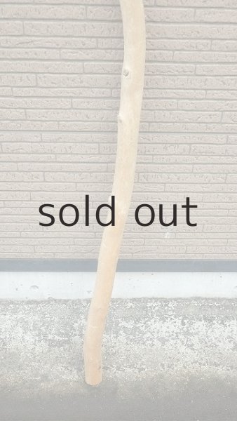 画像2: 棒流木・長尺 (2)