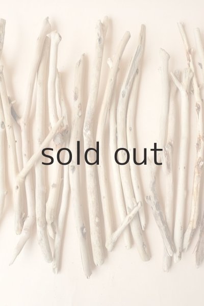 画像3: 小枝流木セット (3)