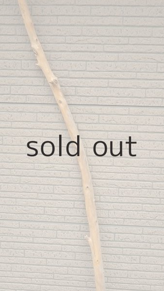 画像3: 棒流木・長尺 (3)