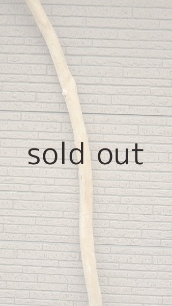 画像3: 棒流木・長尺 (3)