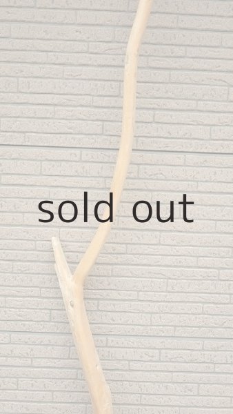 画像3: 棒流木・長尺 (3)