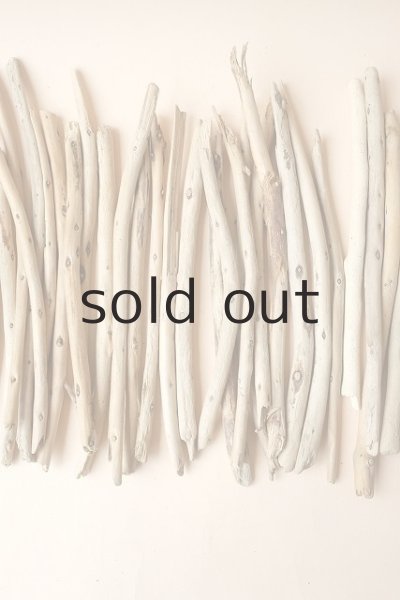 画像3: 棒流木セット (3)