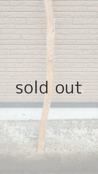 画像2: 棒流木・長尺 (2)