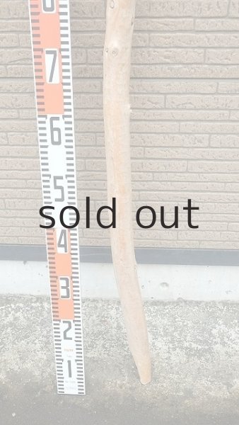 画像5: 棒流木・長尺 (5)