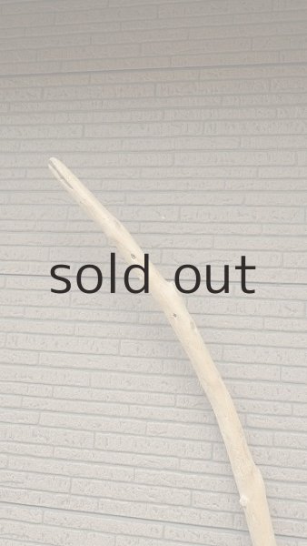 画像4: 棒流木・長尺 (4)